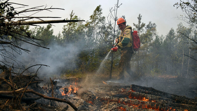 В Рязанской области на 14% увеличилась площадь лесных пожаров