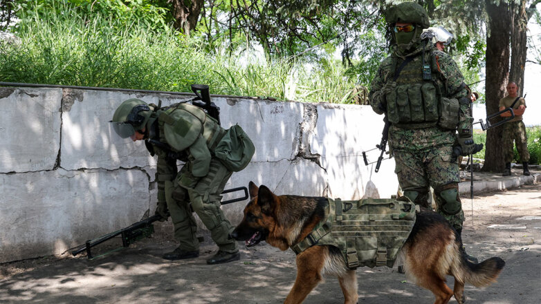 Саперы ВС РФ и служебная собака во время разминирования территории города Мариуполя