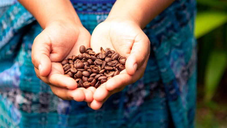 WSJ: неурожай в Бразилии может привести к резкому подорожанию кофе в мире
