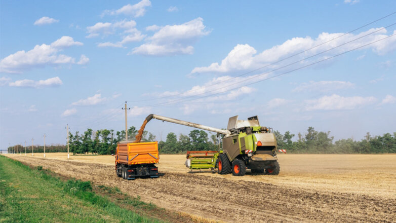 Молдавия ограничила ввоз сельскохозяйственной продукции с Украины