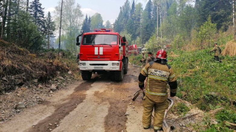 В Рослесхозе сообщили о ликвидации всех лесных пожаров на Дальнем Востоке