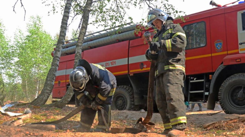 Вывод людей и техники, тушащих пожары в Рязанской области, начнется ночью