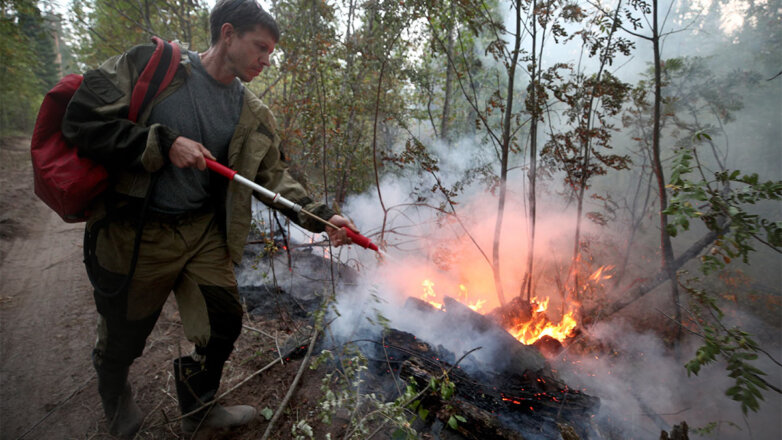 В лесах Московской области сохраняется высокая вероятность возгораний