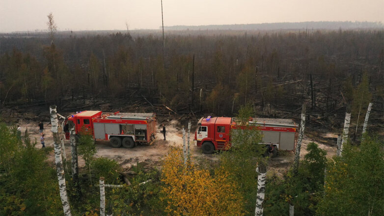 В МЧС рассчитывают, что ожидаемые дожди помогут справиться с лесными пожарами