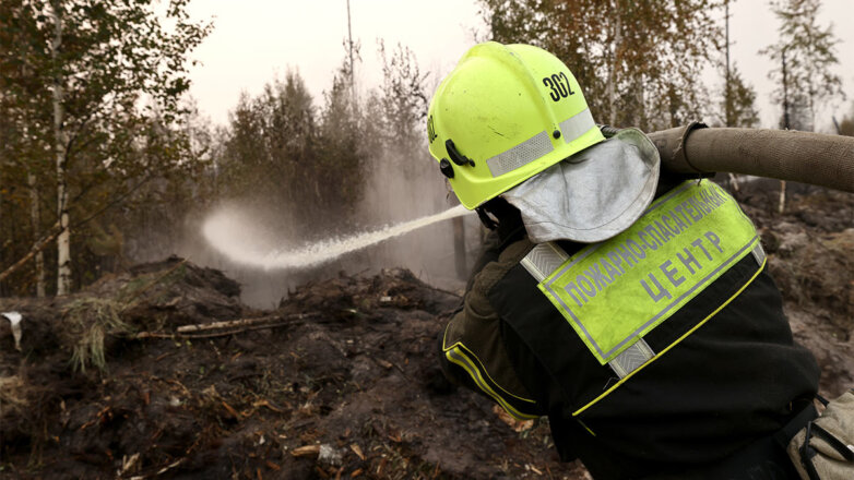 Площадь пожаров в Рязанской области разрослась еще почти на 10%