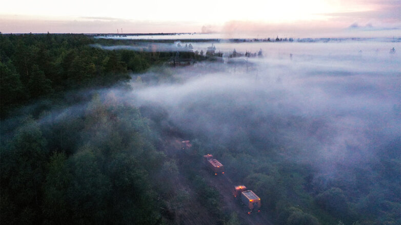 "Продолжает гореть": глава МЧС оценил ситуацию с лесными пожарами в России