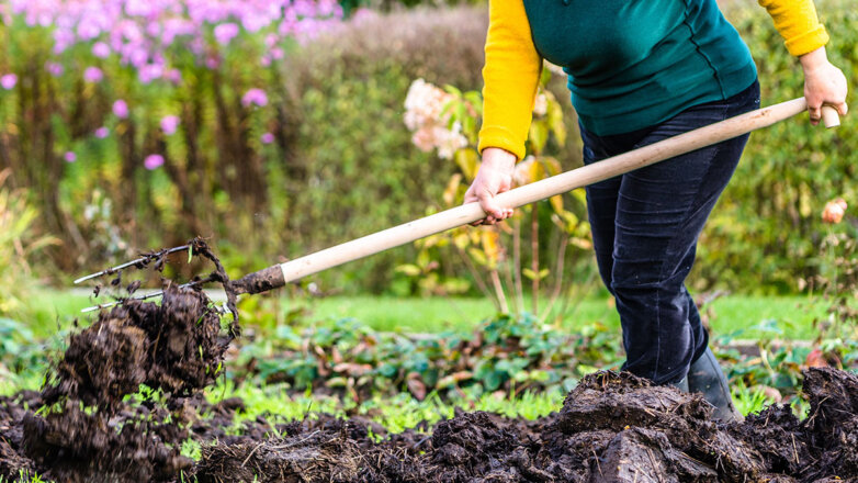 Как подготовить огород к осени: 7 важных действий