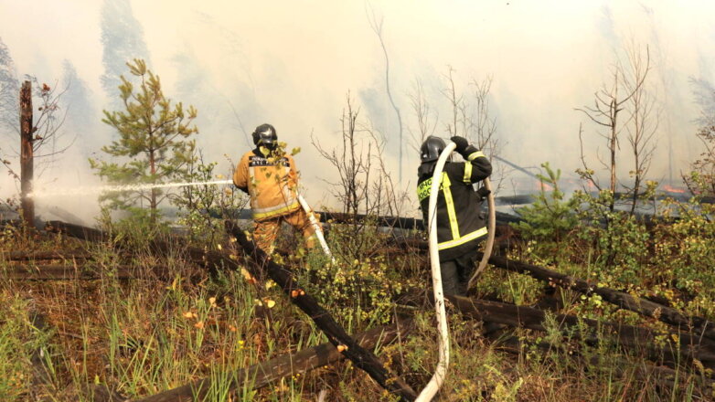 Сохраняющийся дым от пожаров в Рязанской области объяснили плановыми отжигами