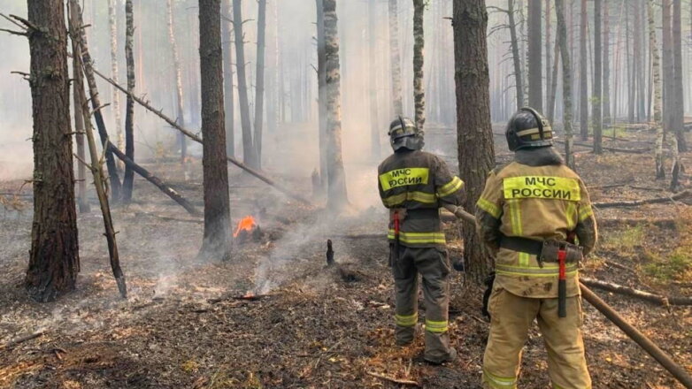 В Московской области потушили 6 лесных пожаров