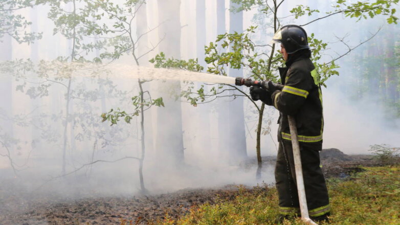 Лесные пожары в Рязанской области полностью локализованы