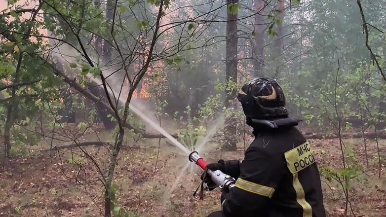 Большая группировка сил позволяет эффективно бороться с рязанскими пожарами