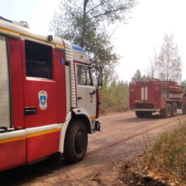 В Омской области вспыхнул пожар на газопроводе
