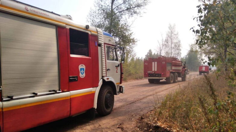 МЧС увеличило группировку для тушения лесных пожаров в Ивановской области