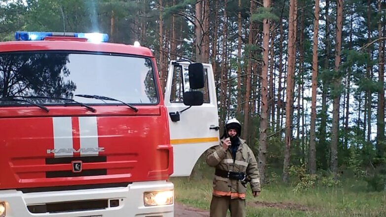 В России за сутки потушили 59 лесных пожаров