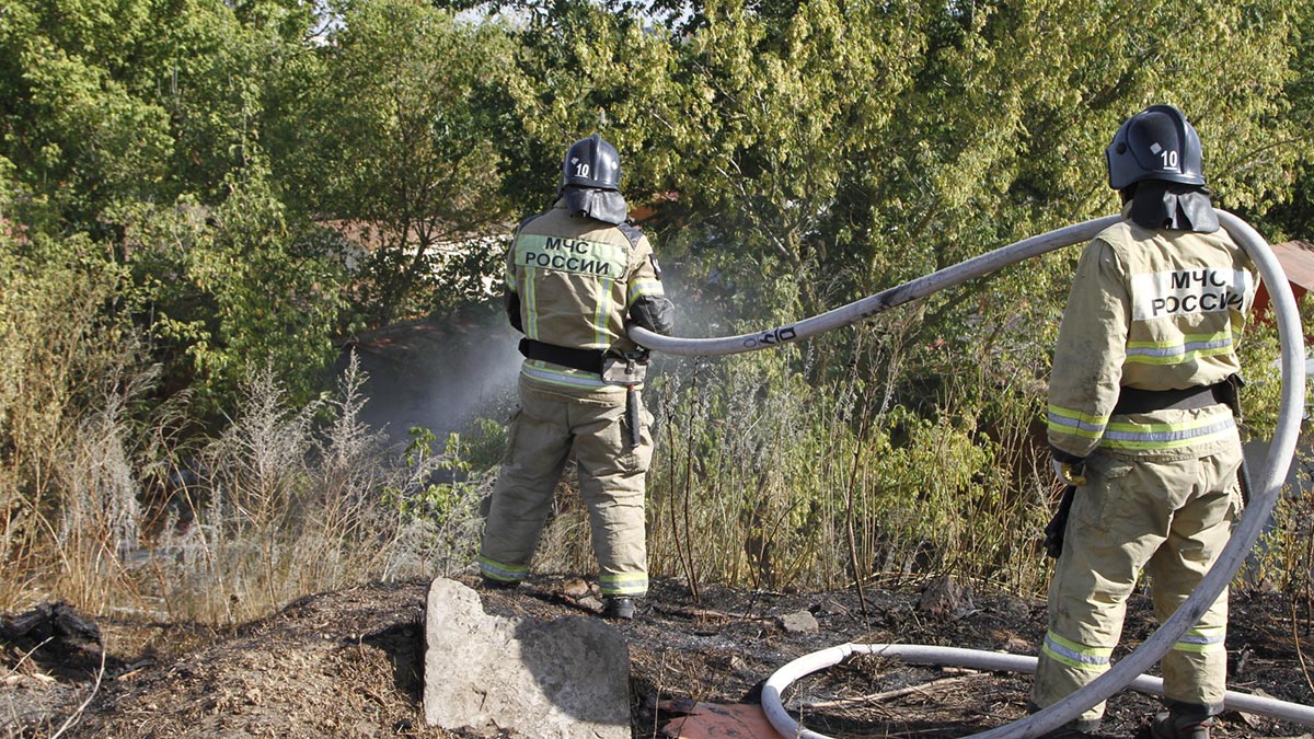 В Ростовской области локализовали лесной пожар на площади 269 гектаров