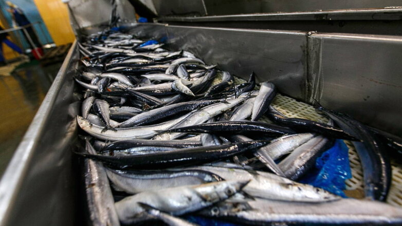 Россия увеличила экспорт рыбной продукции до 2,15 миллиона тонн в 2022 году