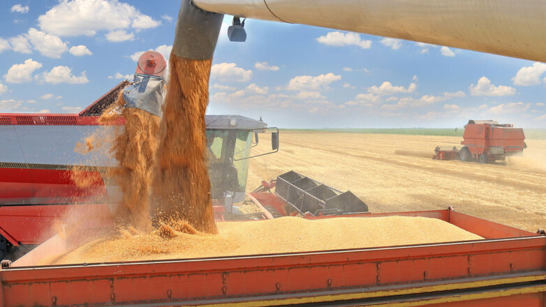 В Запорожской области объявили о готовности экспортировать новый урожай зерна