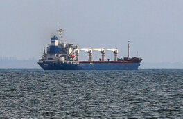 СМИ: судно с украинским зерном изменило маршрут