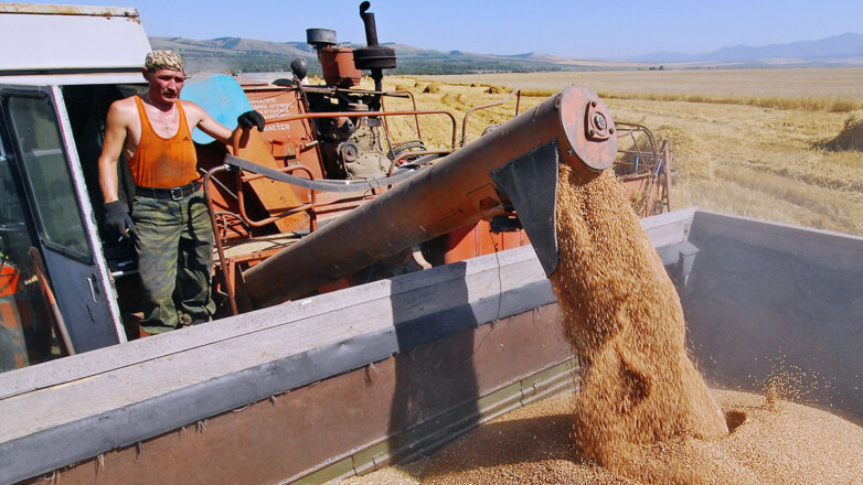 Уборка зерна в Хакасии