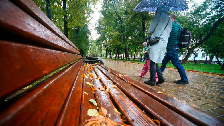 1164593 Дождь люди зонт осень город парк