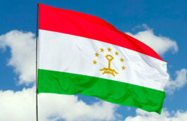 Таджикистан заявил о массовых отказах гражданам страны во въезде в РФ