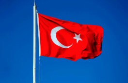 Госдеп: США было бы трудно принять решение Турции войти в ШОС