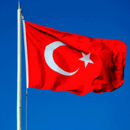 В Госдепе заявили, что США было бы трудно принять решение Турции войти в ШОС