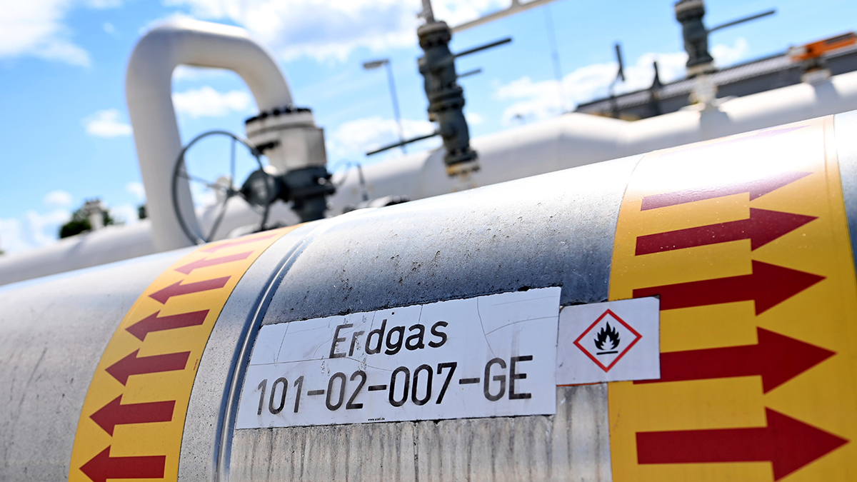 Самым сложным месяцем для газовых хранилищ Евросоюза может стать январь