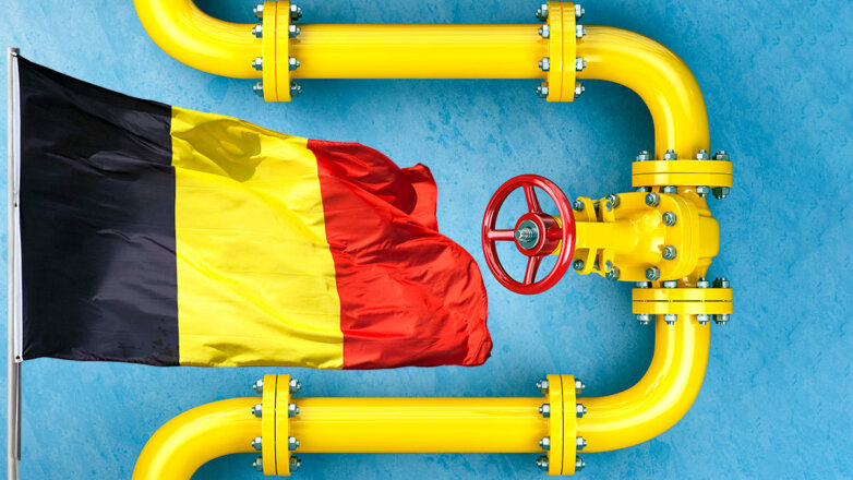 В Бельгии объяснили, почему не хотят ограничивать цены только на газ из РФ