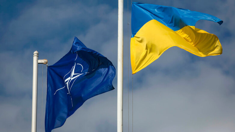 Генсек НАТО заявил, что Украина перестанет существовать в случае отказа от боевых действий