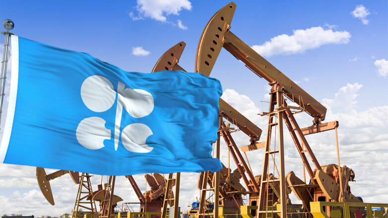 В США считают необоснованным решение ОПЕК+ сократить объемы добычи нефти