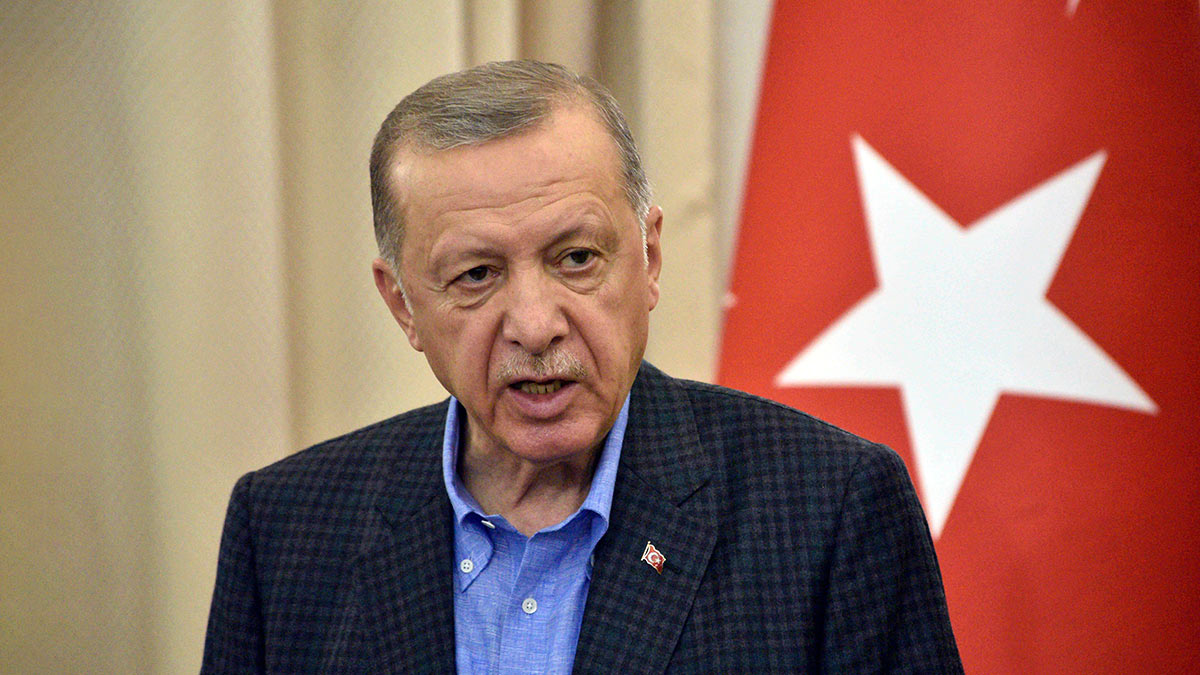 Эрдоган обвинил глобальные силы в попытках повлиять на выборы в Турции