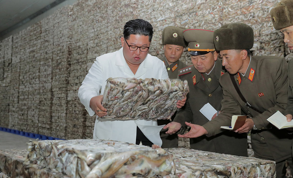Ким Чен Ын посещает предприятие по переработке рыбы