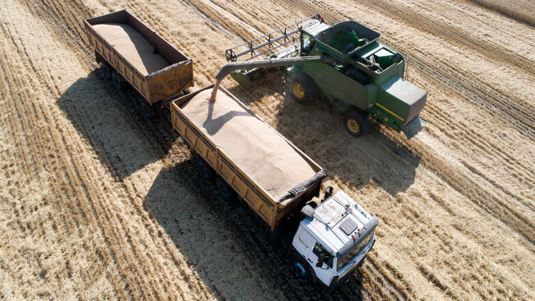 Урожай зерна в РФ в 2023 году прогнозируется на уровне 135 миллионов тонн