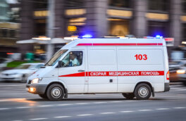 Новые правила пропуска спецтранспорта на дорогах утвердили в России