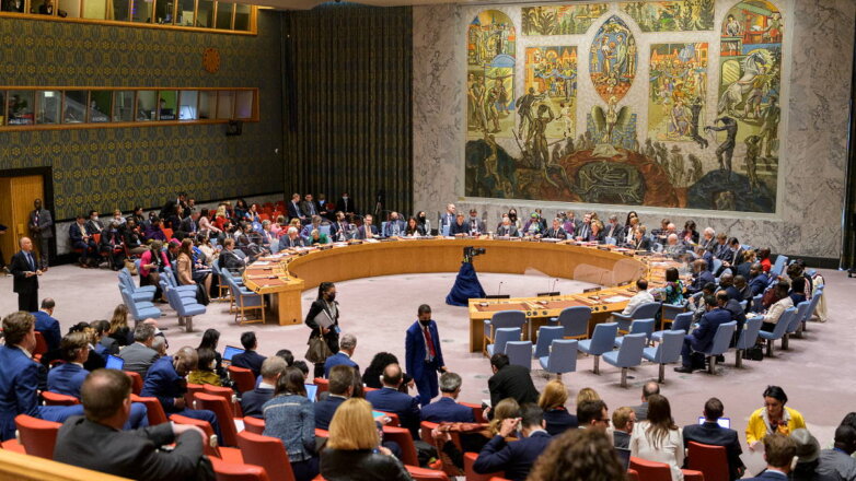 Германия попросила место члена с правом вето в СБ ООН
