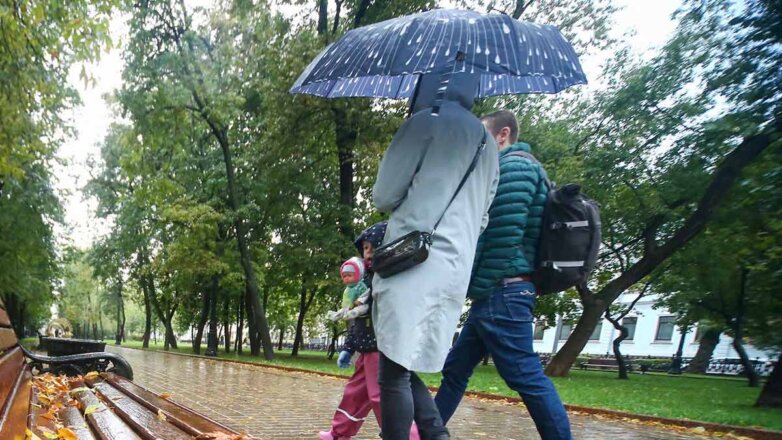 В Москве из-за дождя и ветра объявили "желтый" уровень погодной опасности