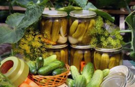 Маринованные корнишоны: рецепт хрустящих маленьких огурчиков на зиму