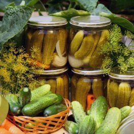 Маринованные корнишоны: рецепт хрустящих маленьких огурчиков на зиму