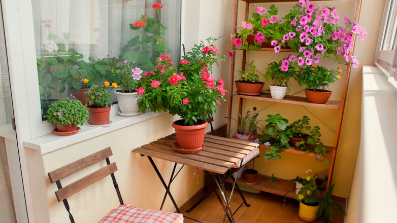 Оазис среди бетонных стен: как обустроить зимний сад на балконе или лоджии