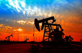 Добывавшая в России нефть ирландская компания PetroNeft самоликвидировалась