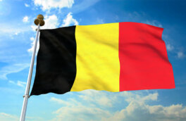 Отказаться от экспроприации активов России призвал глава МИД Бельгии