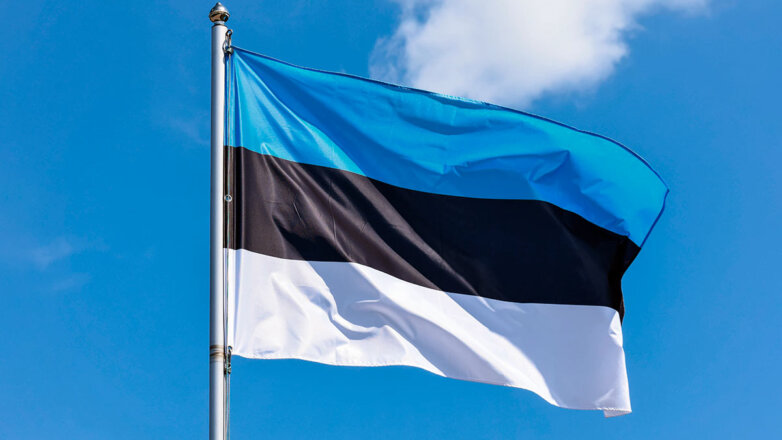 Эстония передаст Украине новую партию боеприпасов и военного снаряжения