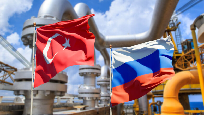 Россия на саммите G20 подтвердит готовность наращивать газовое сотрудничество с Турцией