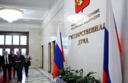В Госдуме назвали мемы про Max "добрым народным фольклором"