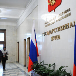 В Госдуме назвали мемы про Max "добрым народным фольклором"