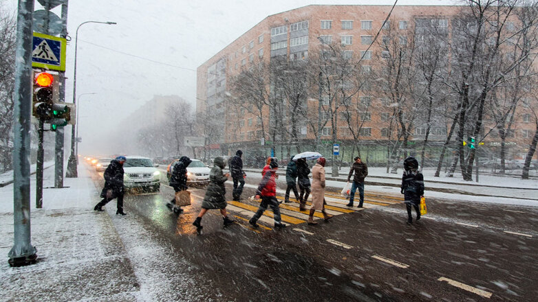 Москвичам пообещали первый мокрый снег в ночь на 31 октября