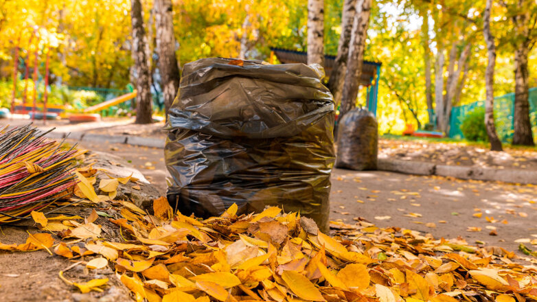 Российские ученые разработали технологию переработки опавших листьев вместе с мусором