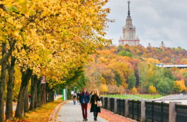 Как будет меняться погода на выходных в Москве и области