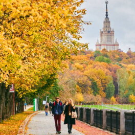 Заметно похолодает: как будет меняться погода на выходных в Москве и области